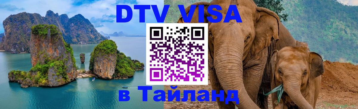 Оформление DTV визы под ключ: стоимость и тарифы, только загранпаспорт - 05.12.2025 